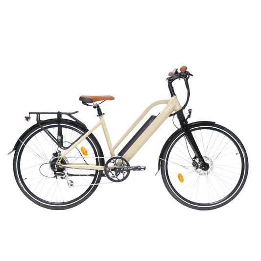 Juicy Roller 250W Electric Hybrid Bike